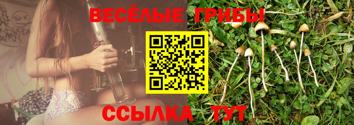 Галлюциногенные грибы MAGIC MUSHROOMS  Вход с VPN  Тара 