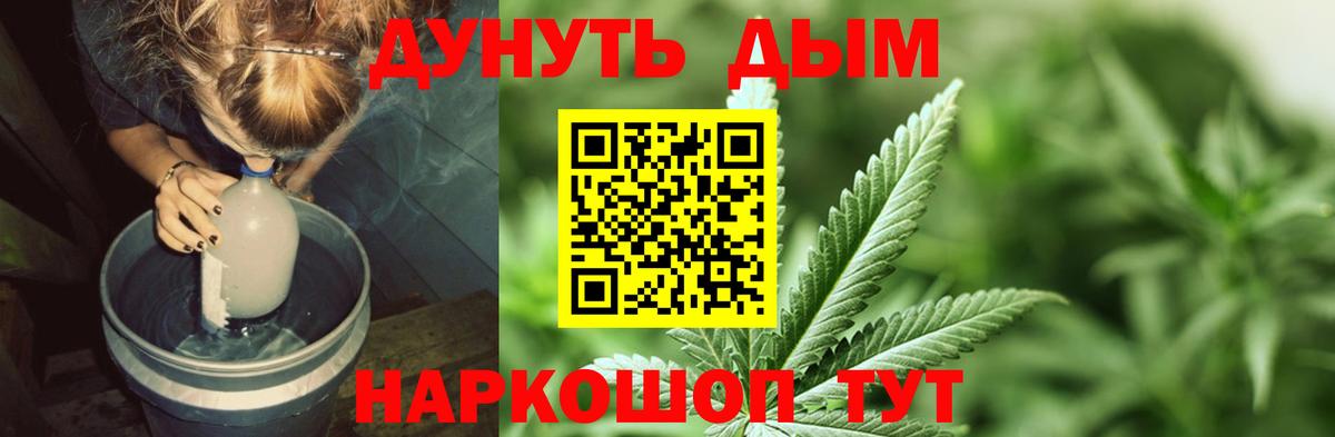 Бошки Шишки план Тара